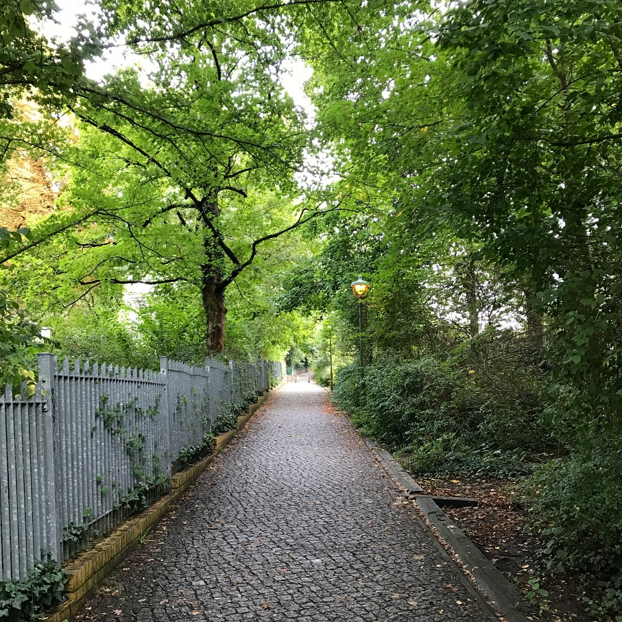 waldstadt