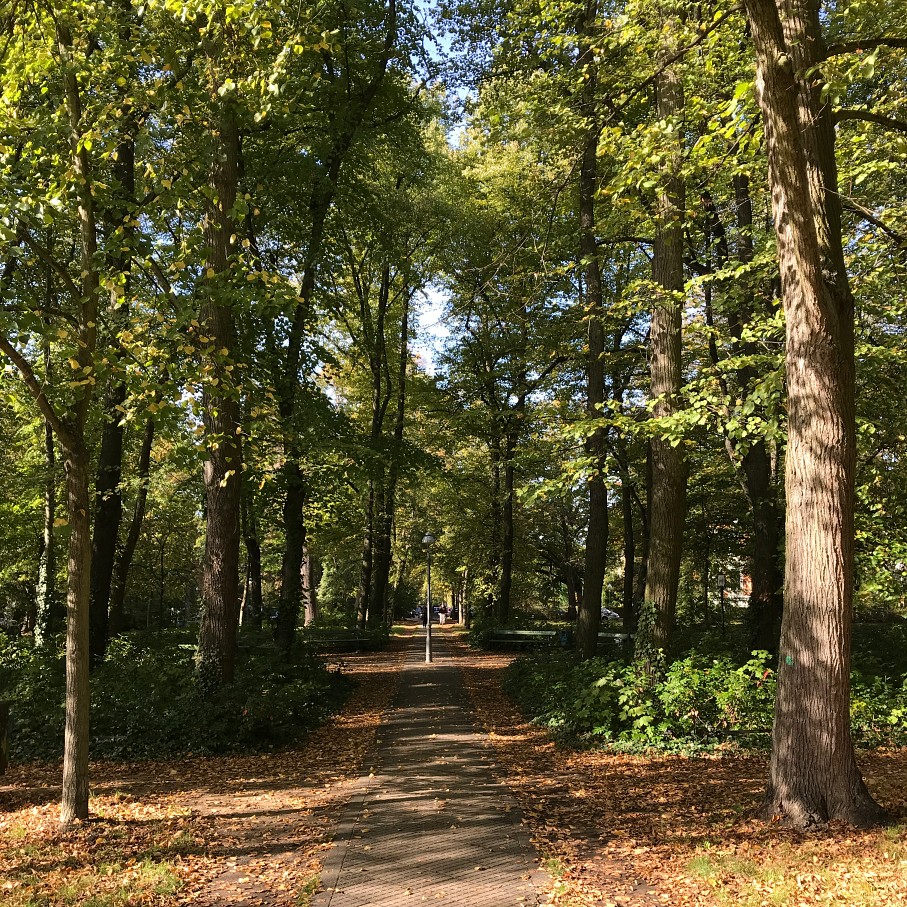 waldstadt